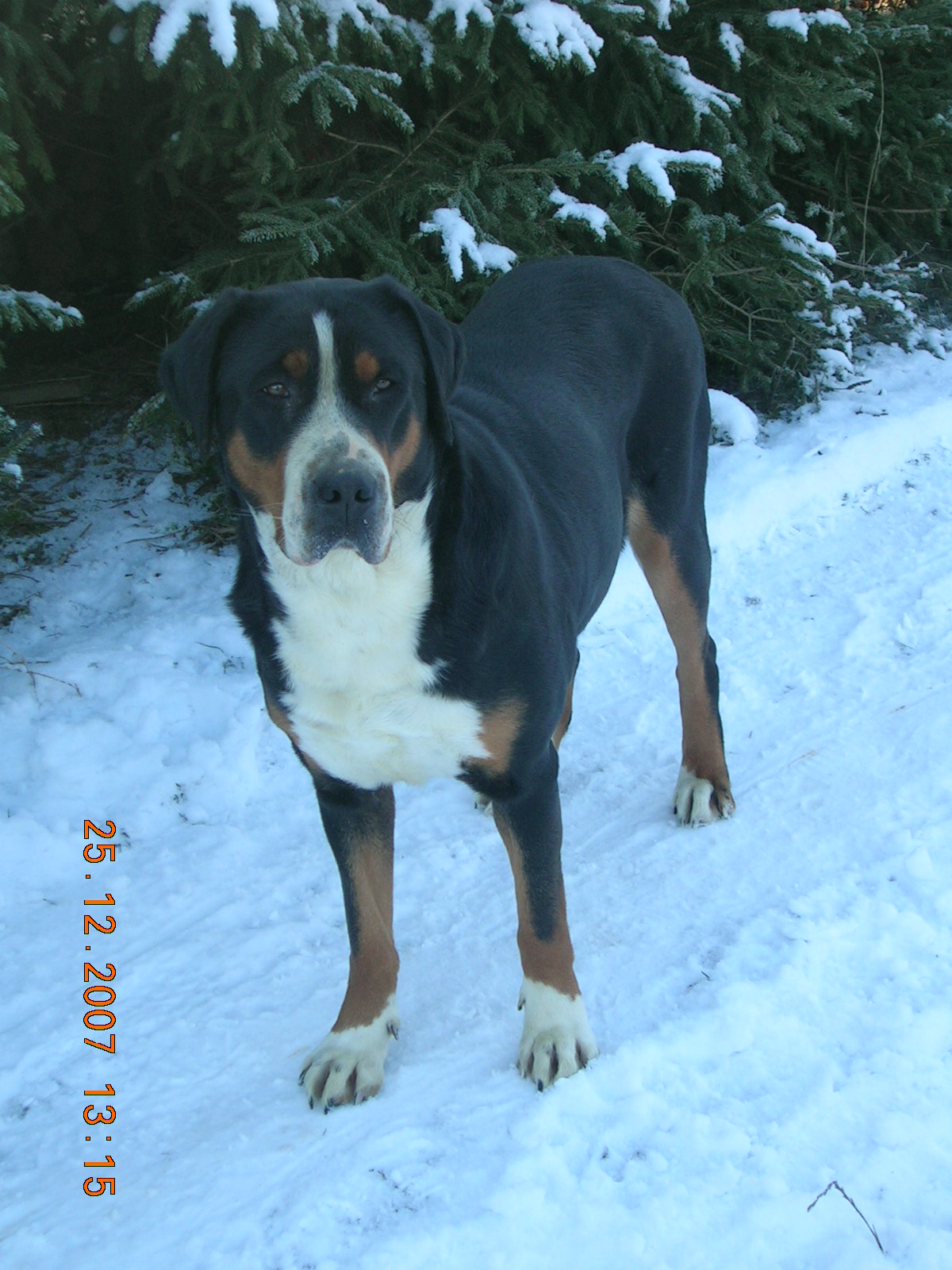 Bild 078